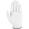 Callaway Golf Dawn Patrol Glove(White 2024)