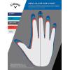 Callaway Golf Fusion Glove(USA)